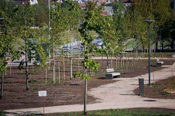 Jonaviečiai apsisprendė – naujasis parkas vadinsis Rimkų parku
