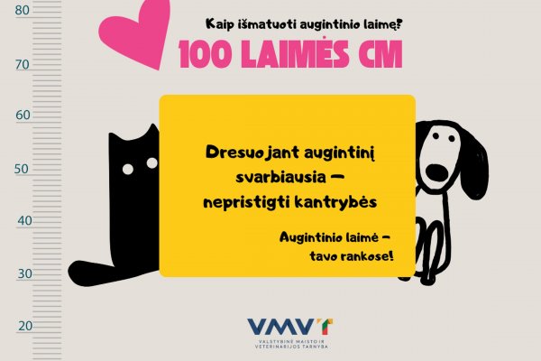 „100 laimės centimetrų“: dresuojant augintinį svarbiausia – nepristigti kantrybės