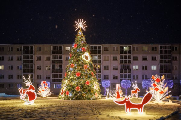 Jonavoje sužibo Kalėdų miškas: prasidėjo jaukus švenčių laukimas