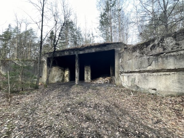 Skelbimas apie siūlymą pripažinti statinius bešeimininkiais
